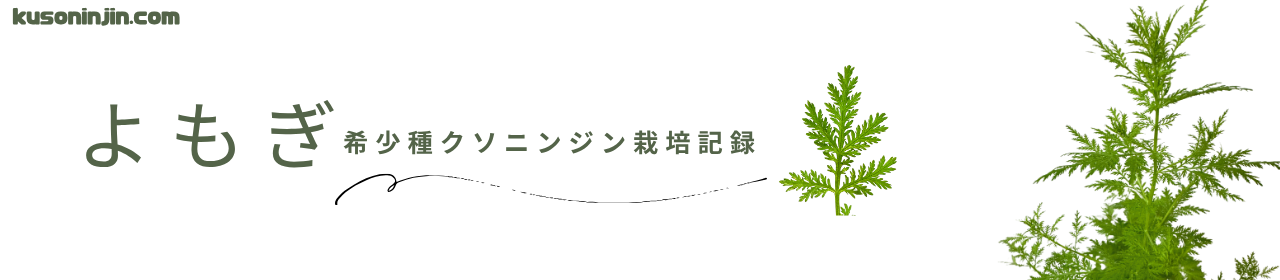 クソニンジンとは